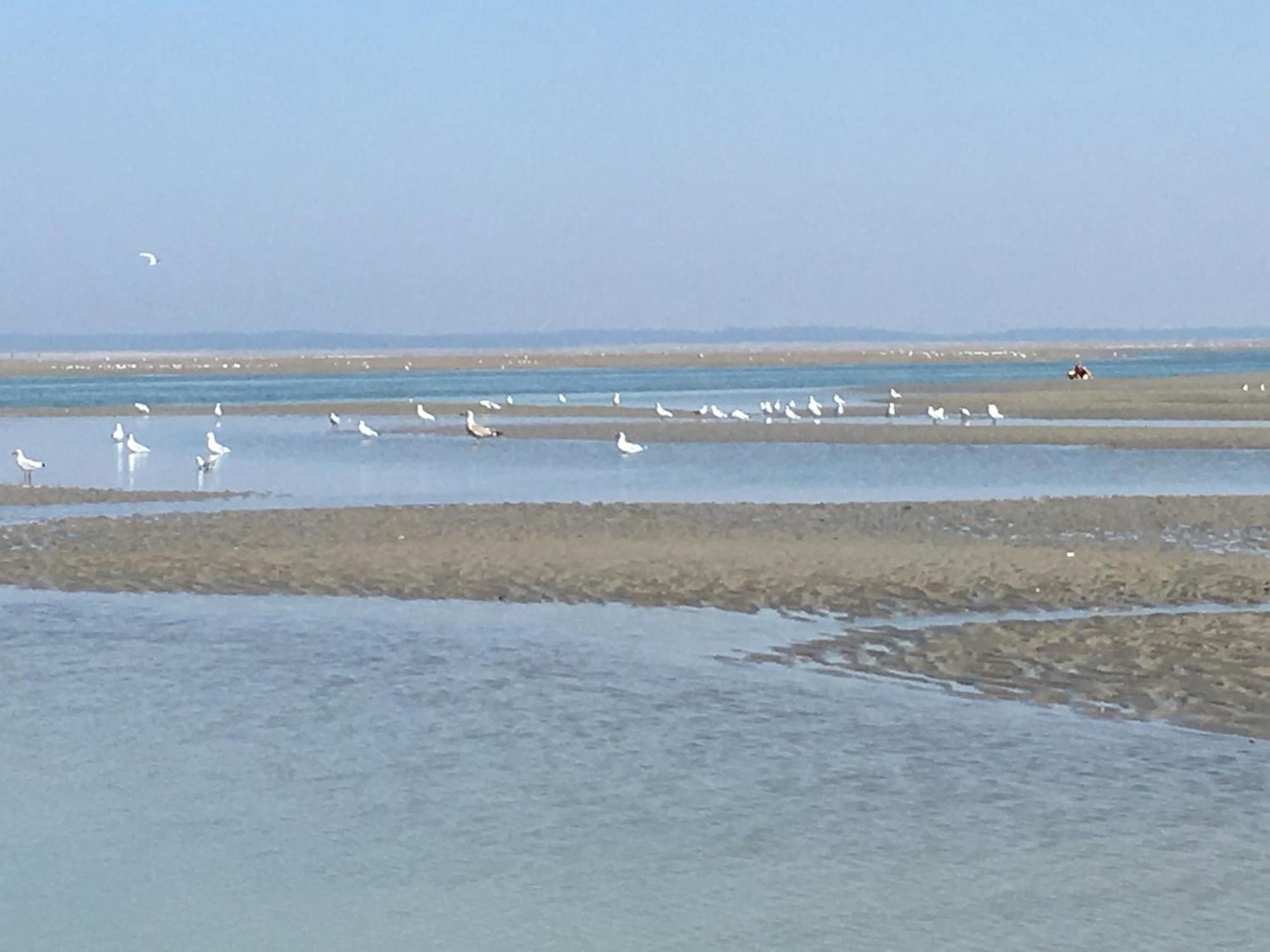 Maison De Pecheur Renovee A 3 Mn De La Mer. Cayeux-sur-Mer Εξωτερικό φωτογραφία