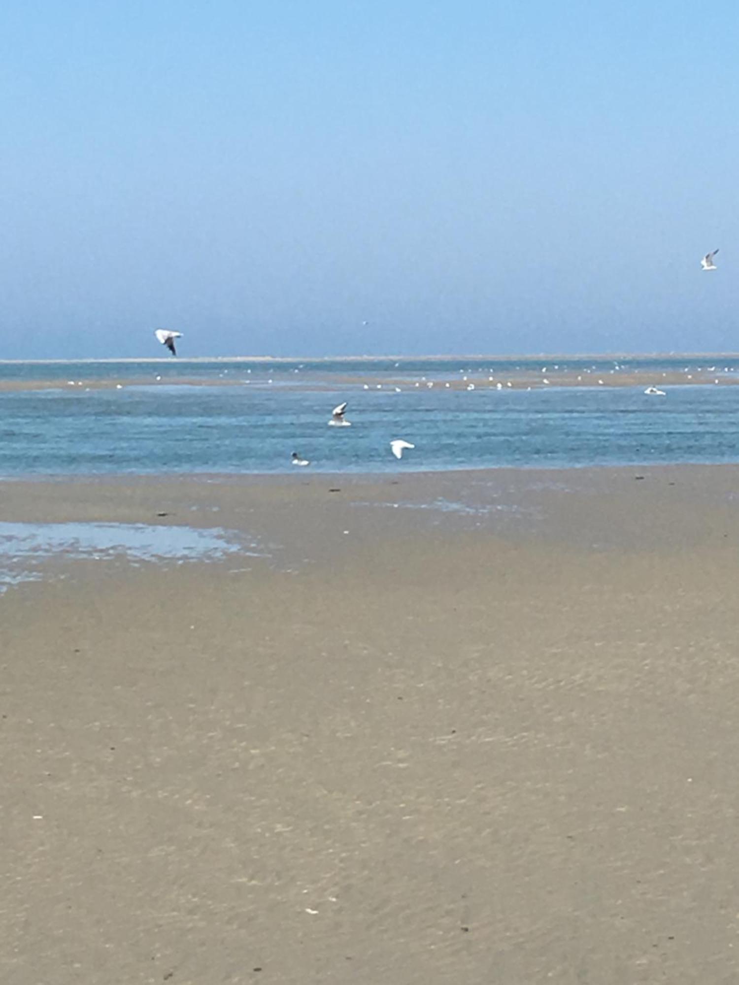 Maison De Pecheur Renovee A 3 Mn De La Mer. Cayeux-sur-Mer Εξωτερικό φωτογραφία